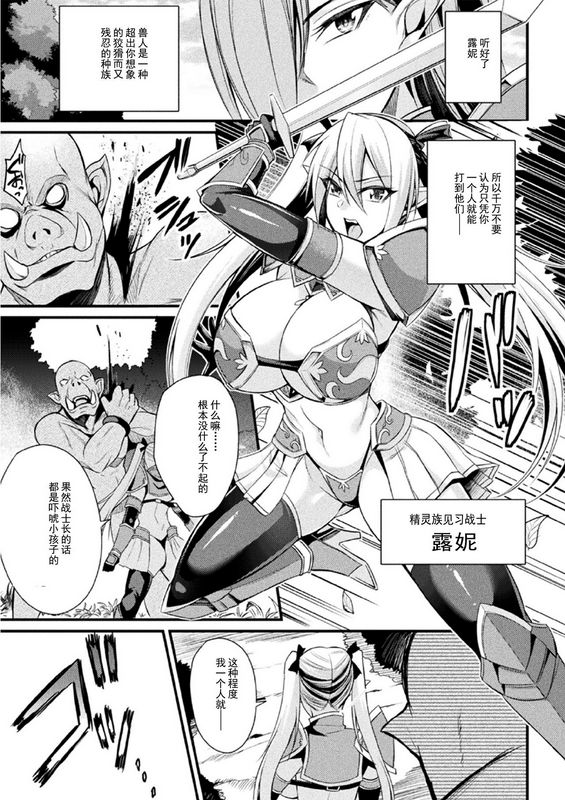 乱れる焔に贯く白银