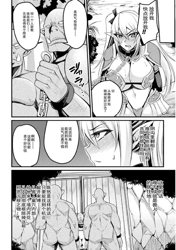 乱れる焔に贯く白银