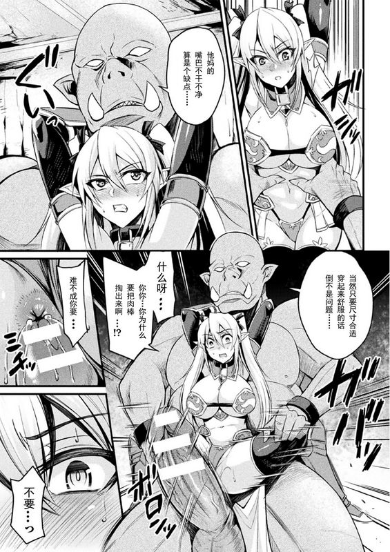 乱れる焔に贯く白银