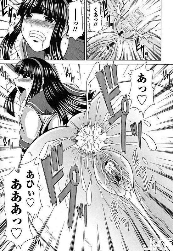 甲斐ひろゆき我が名は生徒会长